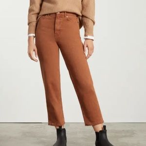 The Way-High Jean Rich Earth EVERLANE Jeans